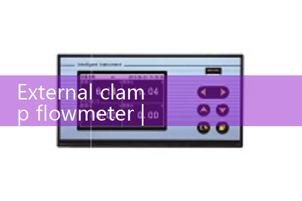 External clamp flowmeter